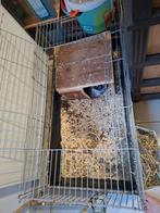 Cage a lapins nains, Enlèvement