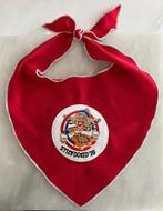 Aalst Oilsjt Carnaval Stiendoeid 2019 sjaaltje, Enlèvement, Comme neuf