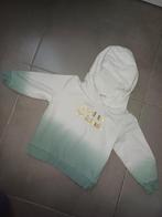 Mooie hoodie H&M - meisje - maat 98/104, Kinderen en Baby's, Kinderkleding | Maat 98, Meisje, Trui of Vest, H&M, Ophalen of Verzenden