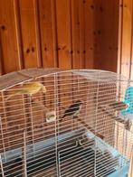 Cage complète, Animaux & Accessoires