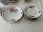 Lot de 9 assiettes + 1 plat en porcelaine de Limoges, Ophalen, Porselein