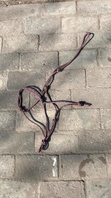 Touwhalster en featherline beschikbaar voor biedingen