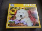 Puzzel 1000 stuks - Wit hondje, Ophalen of Verzenden, 500 t/m 1500 stukjes, Gebruikt, Legpuzzel