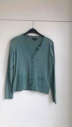 Gilet maat 38, Kleding | Dames, Ophalen of Verzenden, Maat 38/40 (M)