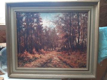Herfstbos. beschikbaar voor biedingen