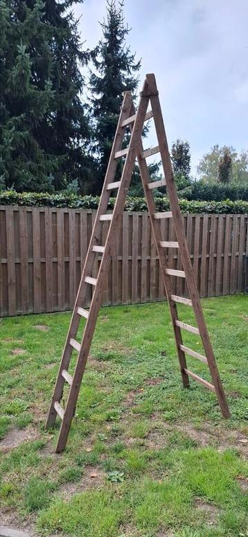 Oudere houten ladder beschikbaar voor biedingen