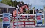 Ruiter zpekt paard om uit te brengen op wedstrijd !, Dieren en Toebehoren, Paarden