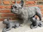 Franse Bulldog, Tuin en Terras, Ophalen, Nieuw, Beton, Dierenbeeld