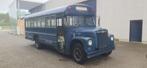 Oldtimer schoolbus International voor opmaak, Auto's, Te koop, Overige merken, Diesel, Blauw