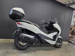 Honda Forza 300 (bj 2017), 300 cc, Bedrijf, Overig, 12 t/m 35 kW
