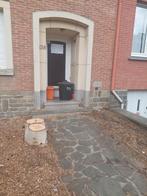 Te renoveren huis Woluwe Saint Pierre, Bruxelles, Brussel, 3 kamers, Tussenwoning