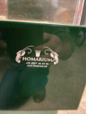 Homarium ( kreeftenbak ) beschikbaar voor biedingen
