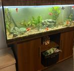 Aquarium 450L, Enlèvement