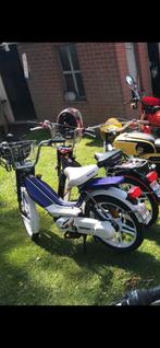 Honda Camino Funny Violet, Enlèvement