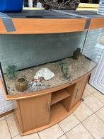 Aquarium of terrarium, Dieren en Toebehoren, Vissen | Aquaria en Toebehoren, Ophalen, Zo goed als nieuw