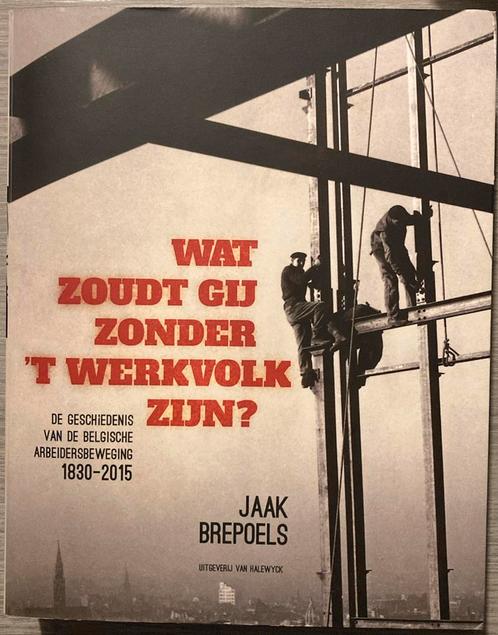 Jaak Brepoels - Wat zoudt gij zonder 't werkvolk zijn?, Boeken, Politiek en Maatschappij, Zo goed als nieuw, Ophalen of Verzenden