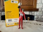 TrueScale Ayrton Senna Brazilian Grand Prix 1991, Ophalen
