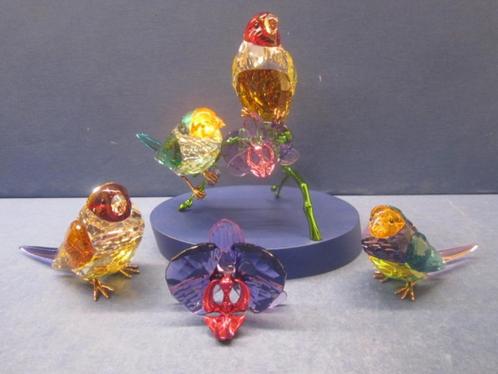 Swarovski Idyllia SCS 2024 Gouldamadine kompleet. 4 stuks, Verzamelen, Swarovski, Nieuw, Figuurtje, Ophalen of Verzenden
