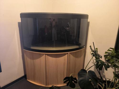 Aquarium Fluval Venezia 350 + meubles et accessoires, Dieren en Toebehoren, Vissen | Aquaria en Toebehoren, Gebruikt, Ophalen