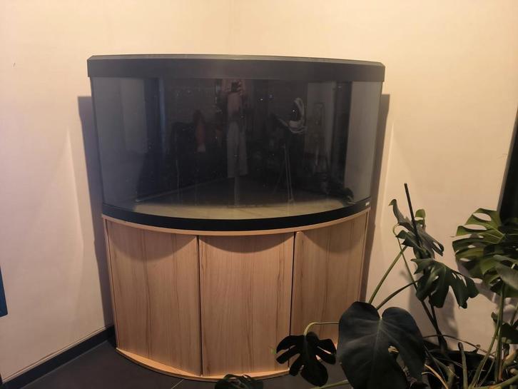 Fluval Venezia 350 aquarium + meubels en accessoires, Dieren en Toebehoren, Vissen | Aquaria en Toebehoren, Gebruikt, Ophalen