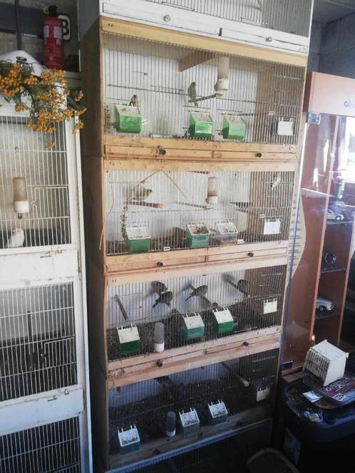 cages d élevage canaris ou autres, Dieren en Toebehoren, Vogels | Hokken en Kooien, Metaal, Ophalen