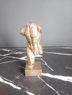 Torso, Antiek en Kunst, Ophalen of Verzenden