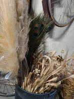 Set droogbloemen, incl. 9 gemaakte vaasjes, Enlèvement