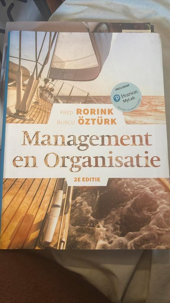 Fred Rorink - Management en organisatie, Boeken, Schoolboeken, Zo goed als nieuw, Nederlands, Ophalen of Verzenden
