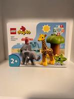 Duplo animals of Africa, Enlèvement, Neuf, Duplo
