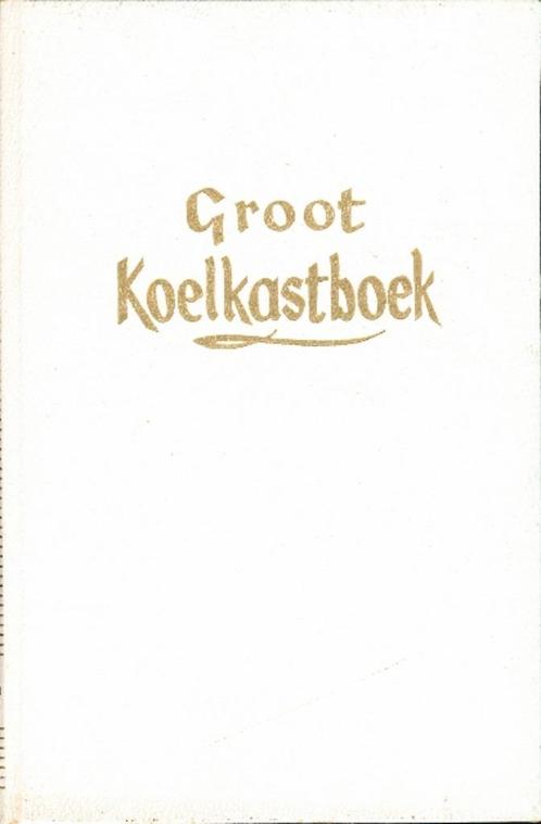(k11) Groot koelkastboek, recepten, 1960, Boeken, Kookboeken, Gelezen, Verzenden