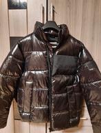 Nieuw Calvin Klein gewatteerd puffer jas S, Kleding | Heren, Jassen | Winter, Nieuw, Maat 46 (S) of kleiner, Tommy hilfiger, Ophalen of Verzenden