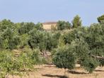 Finca à Maella (Aragon, Espagne) - 0935, 74 m², Autres types, Espagne, Campagne