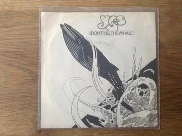 single yes beschikbaar voor biedingen