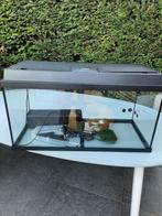 AQUARIUM met filter, licht en thermometer, Dieren en Toebehoren, Vissen | Aquaria en Toebehoren, Ophalen, Zo goed als nieuw, Leeg aquarium
