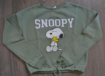 Trui Snoopy maat 158/164 beschikbaar voor biedingen