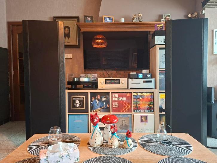 Magnepan 1.5 QR SE in goed werkende staat !, Audio, Tv en Foto, Luidsprekerboxen, Gebruikt, Front, Rear of Stereo speakers, 60 tot 120 watt