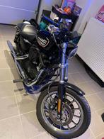 Harley davidson roadster 883 r, Motoren, Motoren | Harley-Davidson, 2 cilinders, Chopper, 883 cc, Particulier