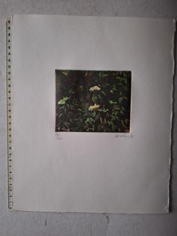 Kleurets Nino Cordio "Fiori" (bloemen) uit 1980 beschikbaar voor biedingen