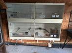 Vogelkooien en papaegaaikooi, Dieren en Toebehoren, Ophalen, Gebruikt, Overige materialen, Vogelkooi