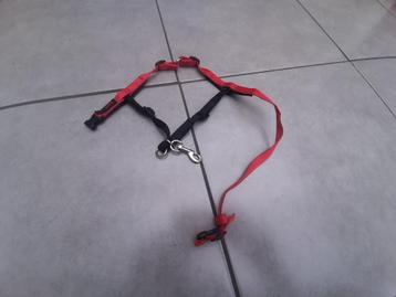 halti voor de hond beschikbaar voor biedingen