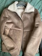 Daim jas heren nieuw, Vêtements | Hommes, Vestes | Hiver, Enlèvement ou Envoi, Neuf