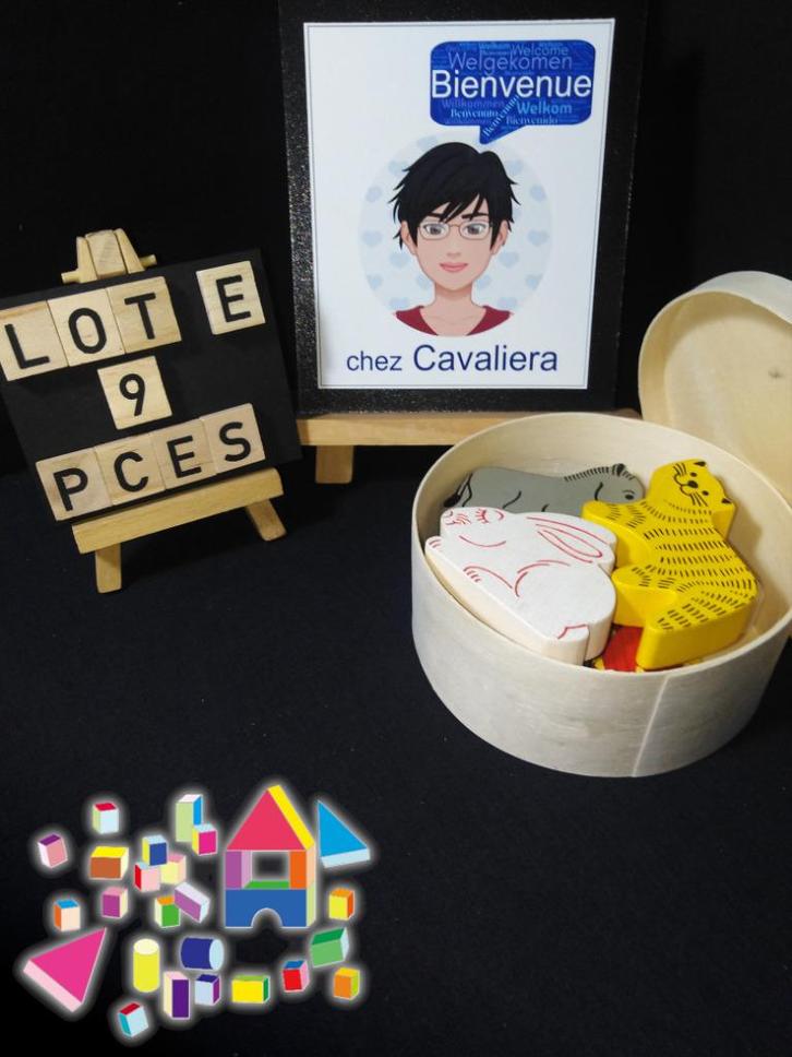 Massief houten figuren in een doos - WEINIG gebruikt - Spel, Kinderen en Baby's, Speelgoed | Bouwstenen, Zo goed als nieuw, Overige merken