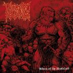 VIOLENT HAMMER - Riders Of The Wasteland (Black Vinyl), Ophalen of Verzenden, Nieuw in verpakking