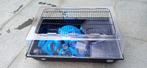 Duvo+ Hamsterkooi, Dieren en Toebehoren, Kooi, Gebruikt, Minder dan 75 cm, Hamster