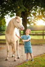 brave kinderpony, Dieren en Toebehoren, B, Ruin, Dressuurpony, A pony (tot 1.17m)