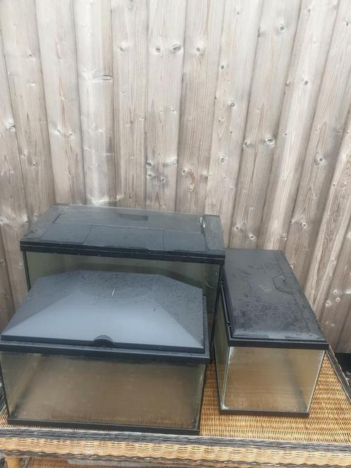 3 aquariums d'occasion à vendre en raison du nettoyage estiv, Animaux & Accessoires, Poissons | Aquariums & Accessoires, Comme neuf