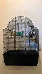 Koppel gold amandine met kooi, Enlèvement ou Envoi, Comme neuf