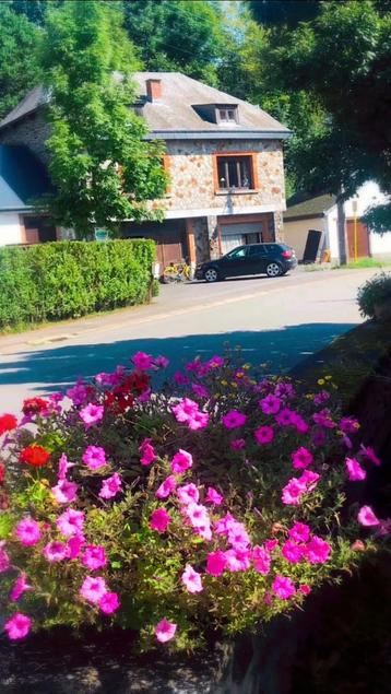 Voici une belle maison ardennaise en pierre du pays const  beschikbaar voor biedingen