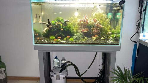 BAC aquascaping + Meuble + led(+controler), Animaux & Accessoires, Poissons | Aquariums & Accessoires, Comme neuf