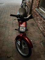 Honda Wallaroo Deluxe (mag weg voor een mooie bod), Classe B (45 km/h), Enlèvement, Utilisé, 50 cm³